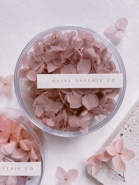 Dried hydrangeas in pale mauve in clear box