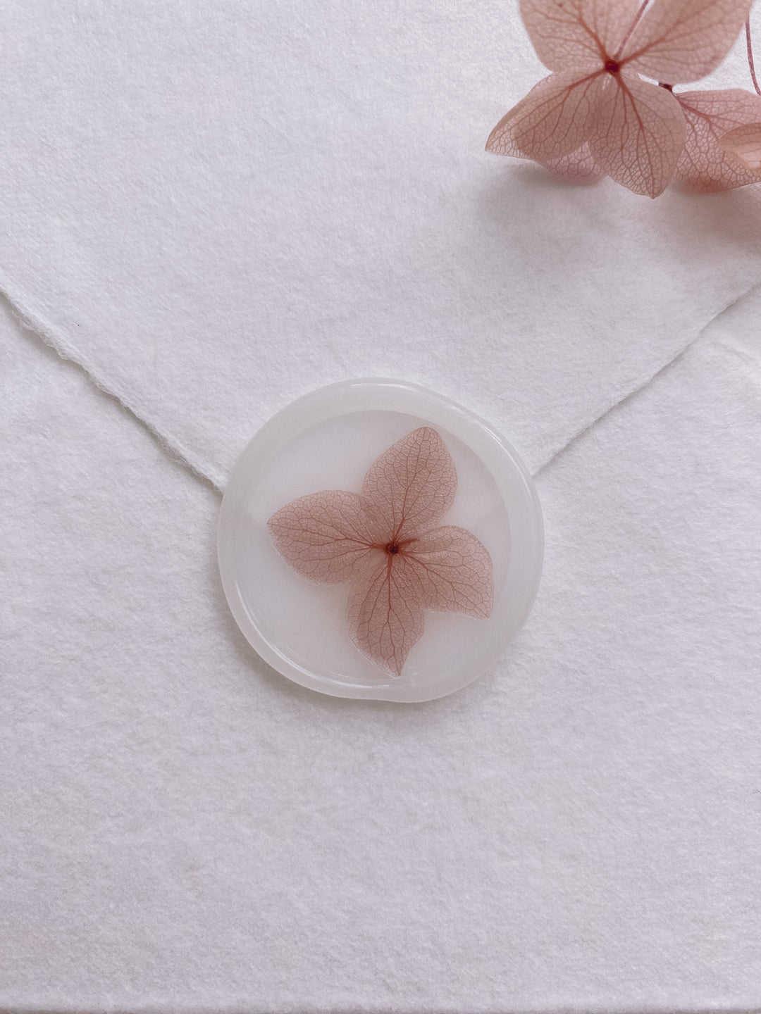Pale mauve color dried hydrangea petal on clear color wax seal